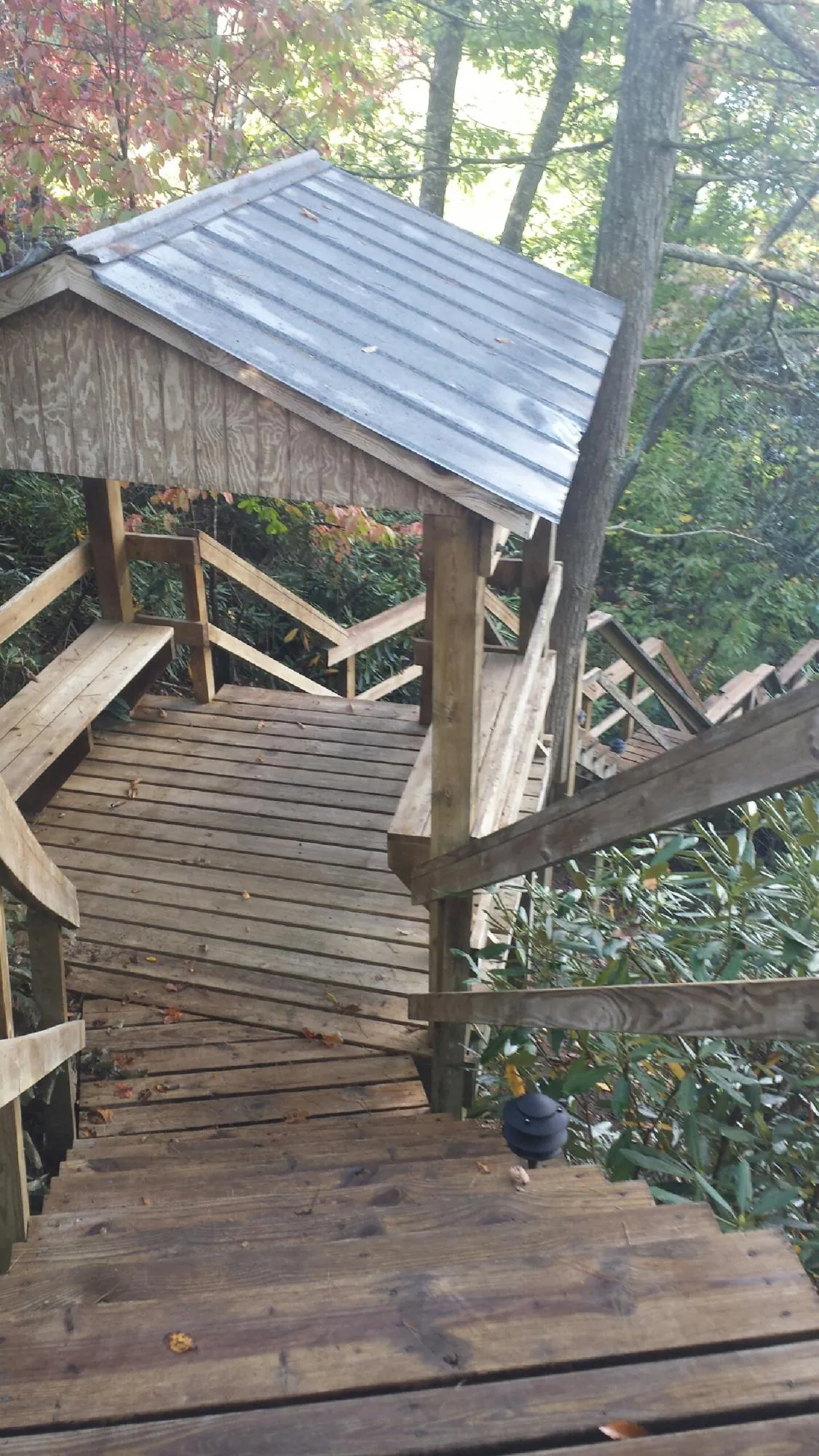 Metal roofed shelter over wooden steps on a wooded walkway — Skylight Repair & Installation work by our crew in Haugan