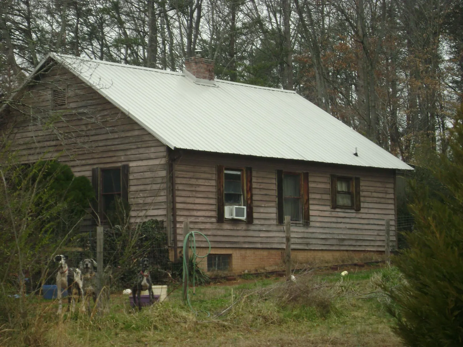 White metal roof on an old wood sided farmhouse, from a Metal Roof Installation job in Haugan